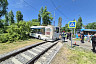 Появилось видео столкновения автобуса с деревом в Саратове